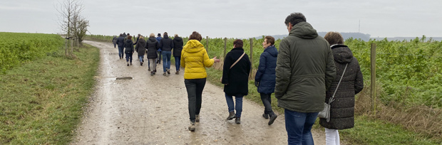 TC 83 wandelen verkeerde been